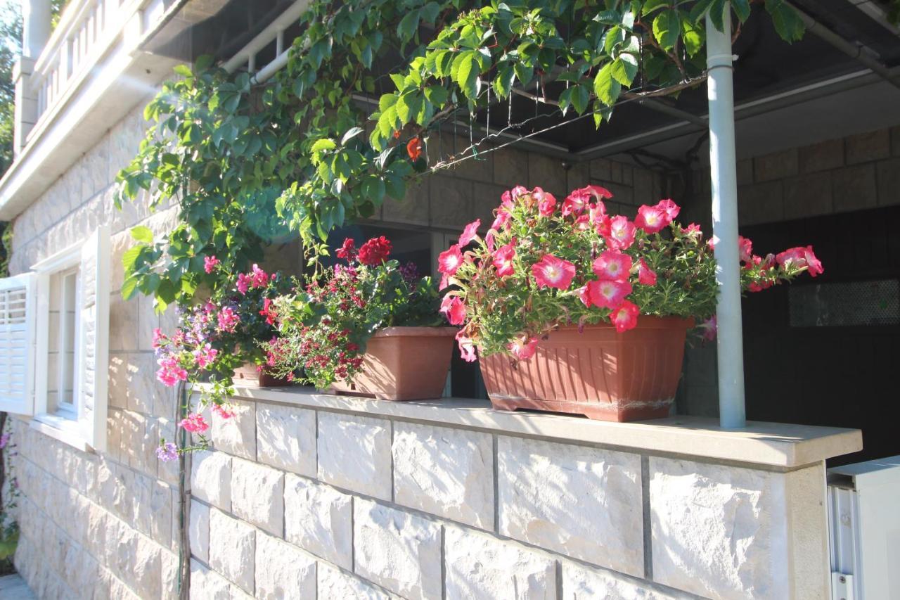 Apartment Ruzica Zrnovo 外观 照片